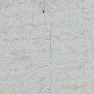 Stella & Dot Aurora Necklace - Silver